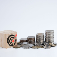 What's the Perfect Interest Rate?