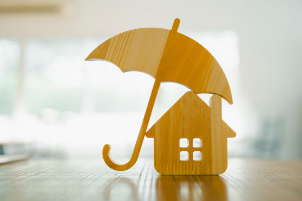 What is Force-placed Insurance?