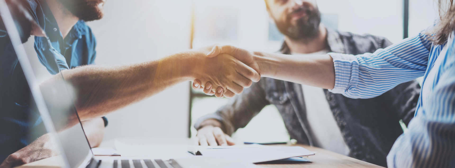 Professionals shaking hands