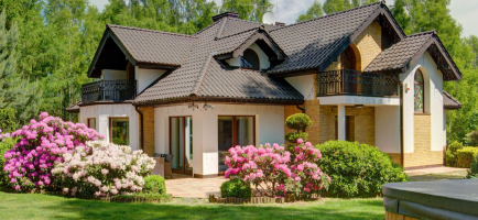 Background image for 