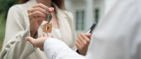 Background image for 