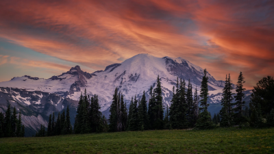 Background image for 
