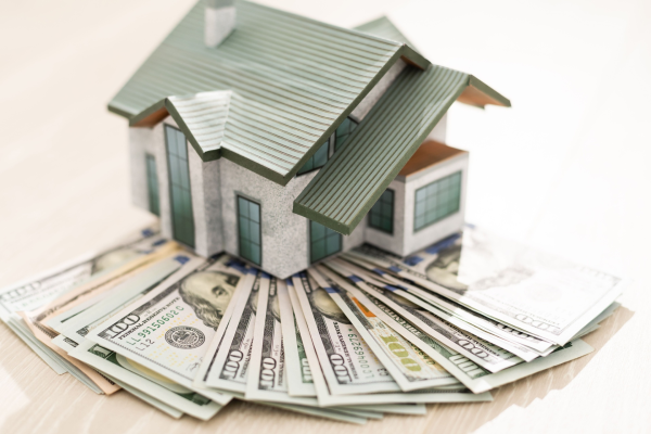Bucking the Trend: The Surprising Power of Cash-in Refinance in a High-Equity World