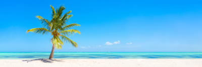 Background image for 